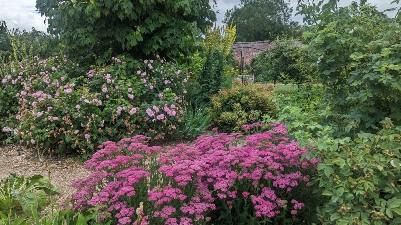 Day in the life of a chronic sneezer