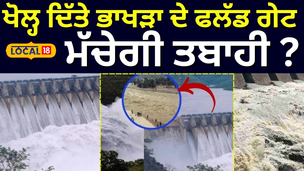 Bhakra Dam Floodgate Open | ਖੋਲ੍ਹ ਦਿੱਤੇ ਭਾਖੜਾ ਦੇ ਫਲੱਡ ਗੇਟ, ਮੱਚੇਗੀ ਤਬਾਹੀ ? | Today Weather| #local18