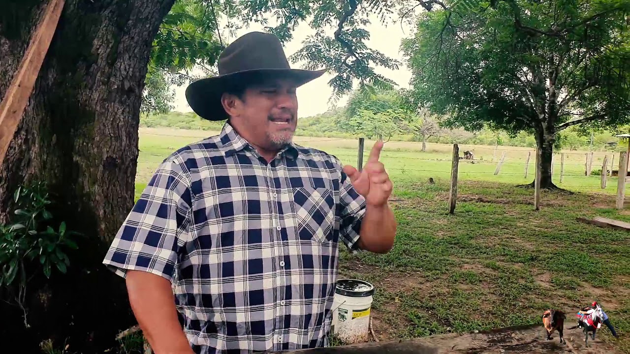 Que Vuelvan  Aquellos Tiempos - Villamil Torres 