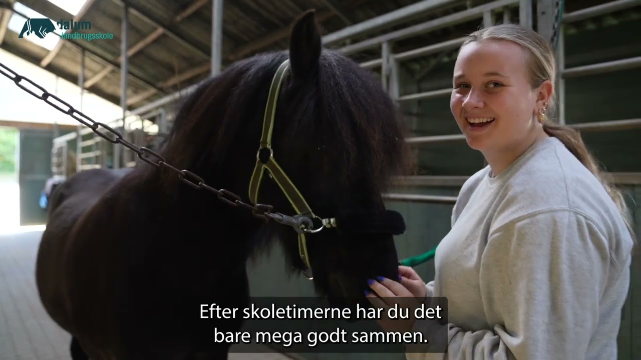 10. klasse på Dalum Landbrugsskole (hest)