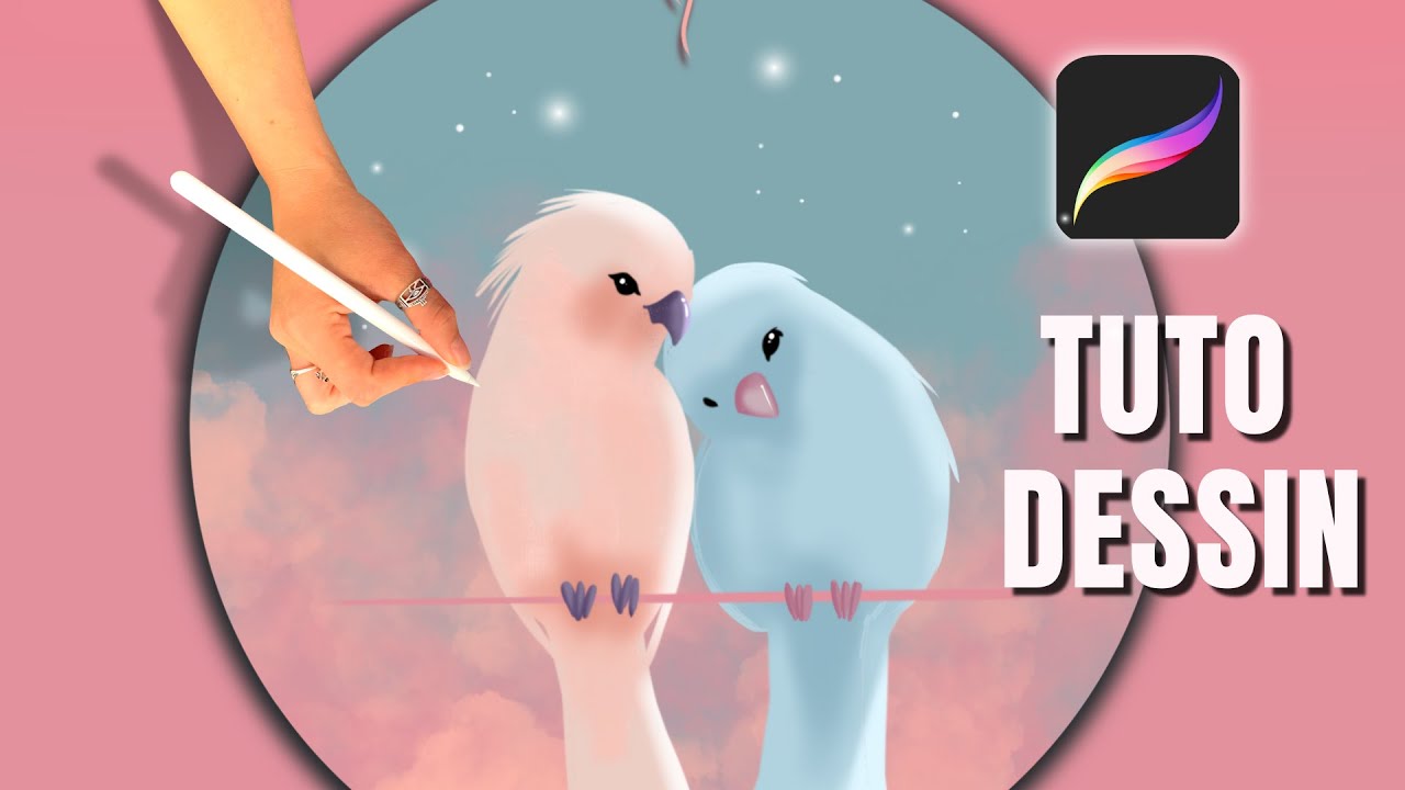 Tuto Procreate dessin oiseaux