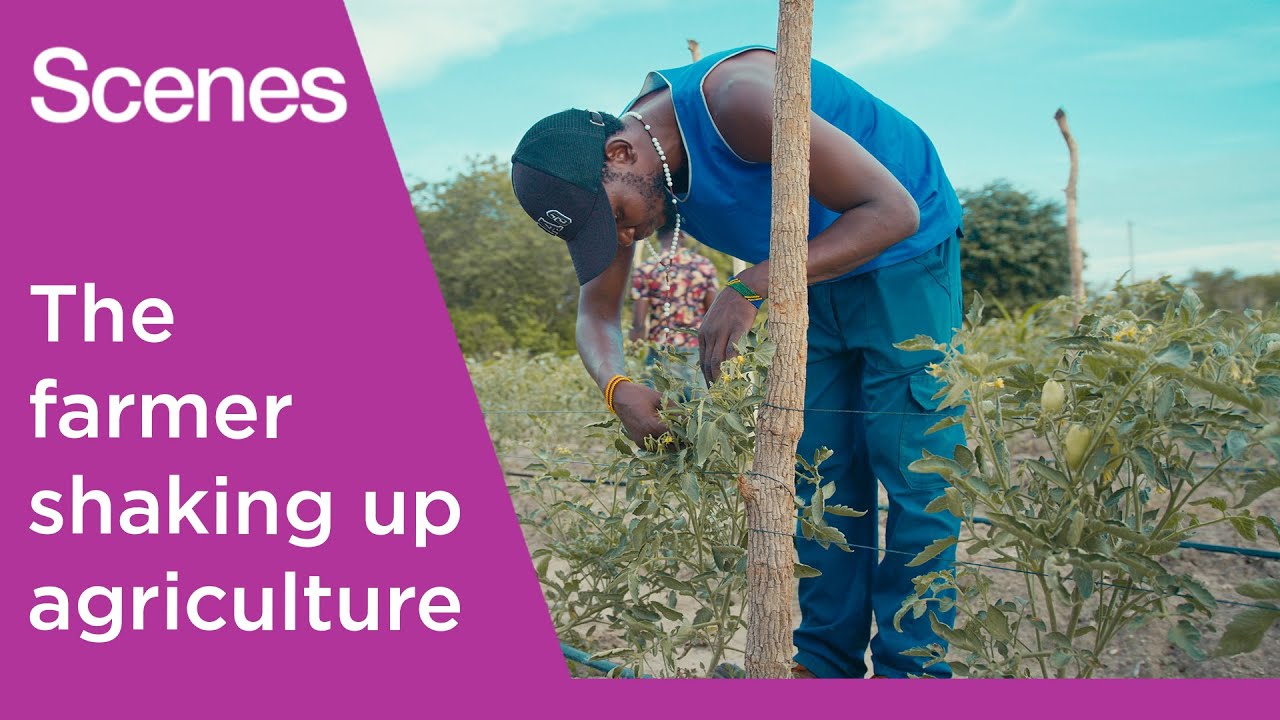 Meet the Tanzanian farmer revolutionising the horticultural landscape | Scenes
