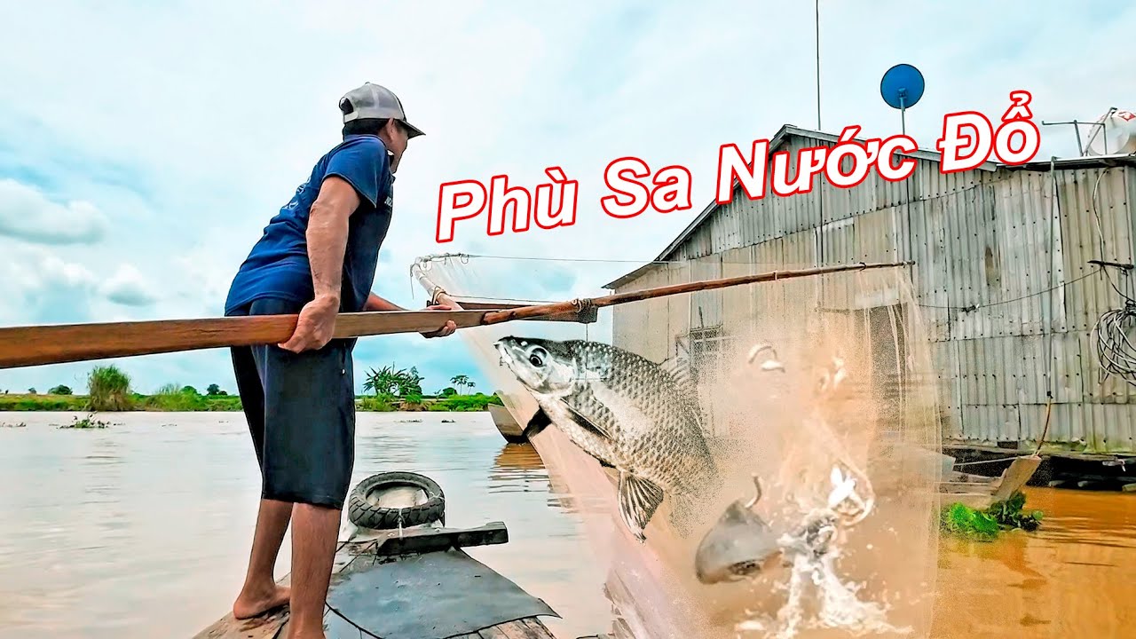 Phù Sa Mê Kông Đổ Về – Theo Anh Nông Dân Xúc Cá Trên Kênh Xáng Tân Châu!