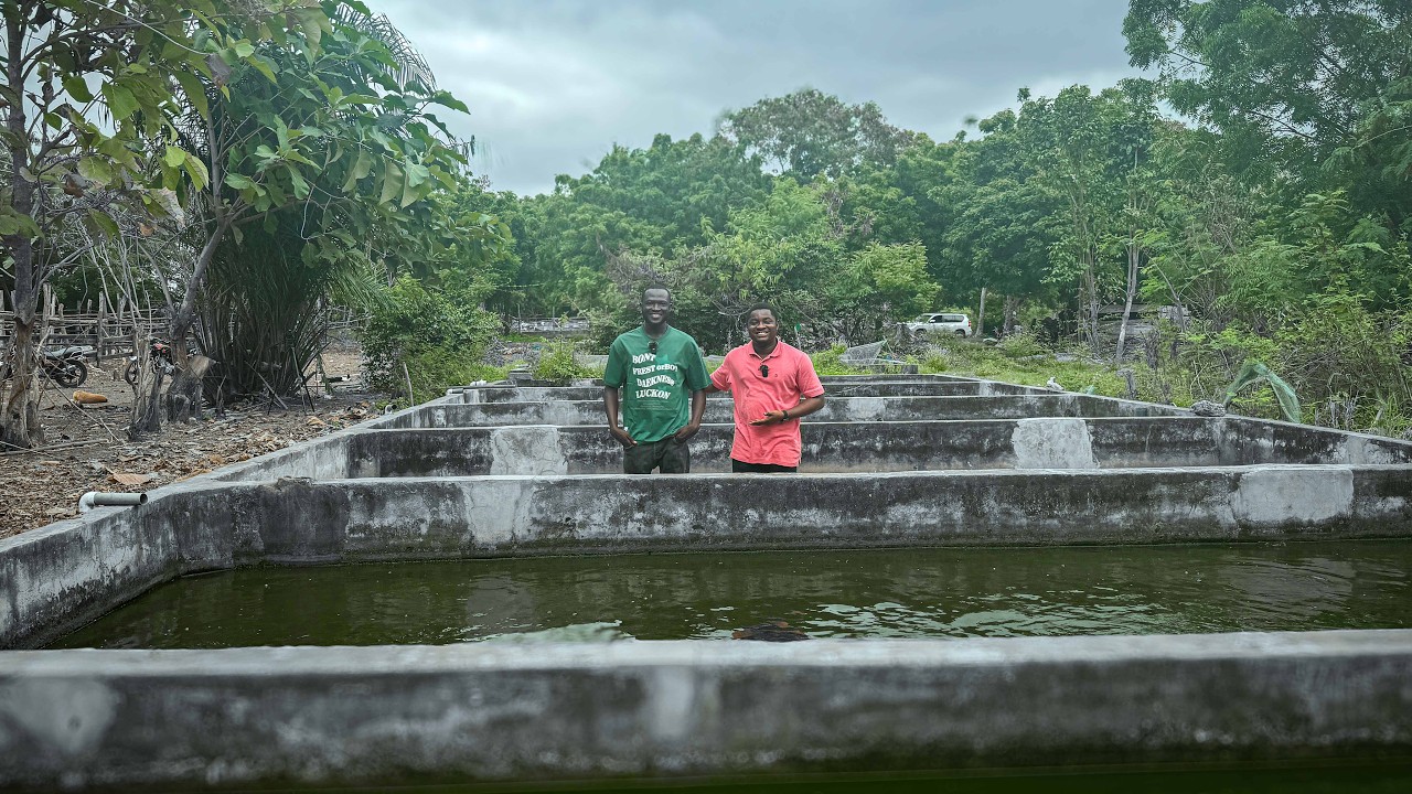From IT Graduate to Producing 10 tons of Catfish Every 6 months - Deen's Inspiring Journey in Ghana