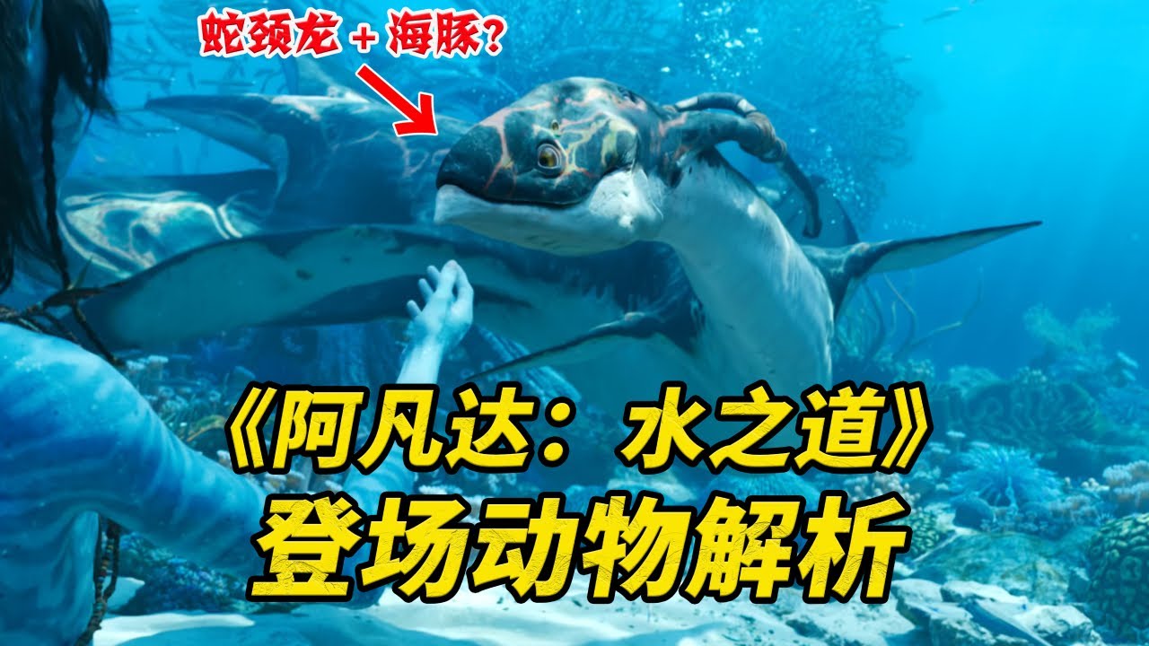 蛇颈龙和海豚结合的外星生物长啥样？【《阿凡达：水之道》登场动物解析01：岛礁族和他们的动物朋友】