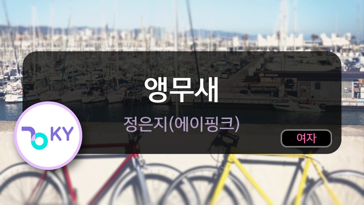 앵무새 - 정은지(에이핑크) (KY.50979) / KY KARAOKE