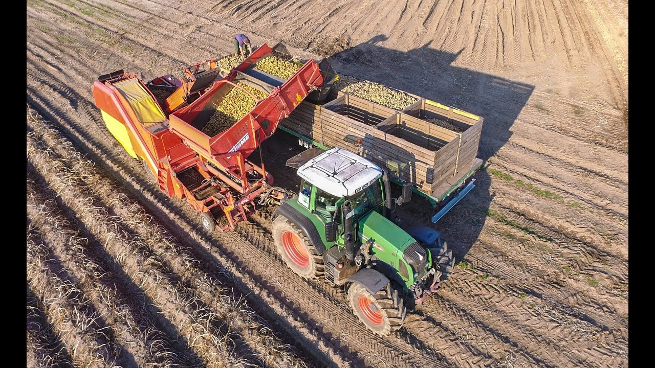 Kartoffelernte 2016 | Kartoffelhof Ehlen | 2x Fendt 415 | MB Trac 1100 | Grimme | in Action