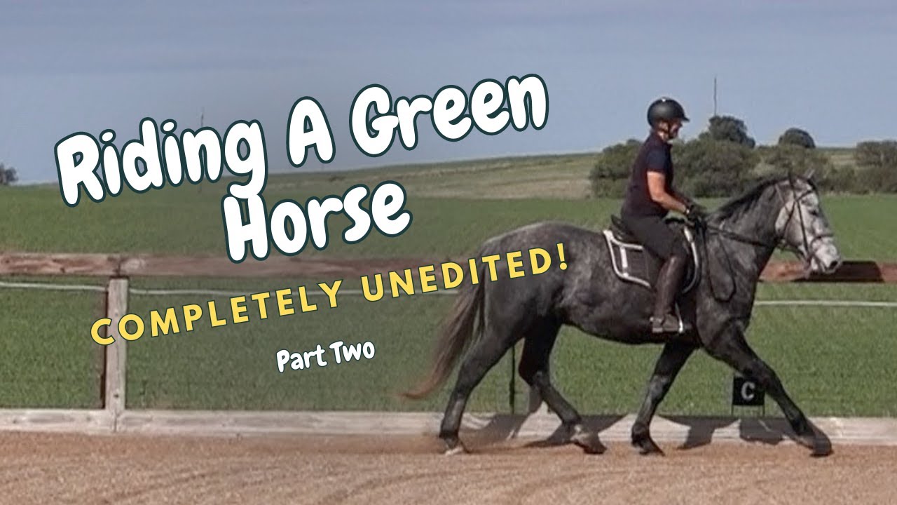 Training A Young Horse