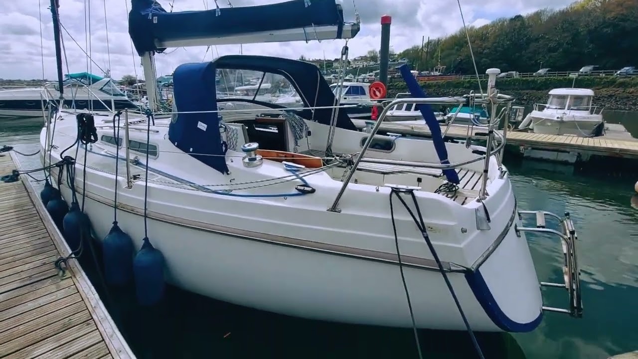 Contest 31 HT - Boatshed - Boat Ref#332455