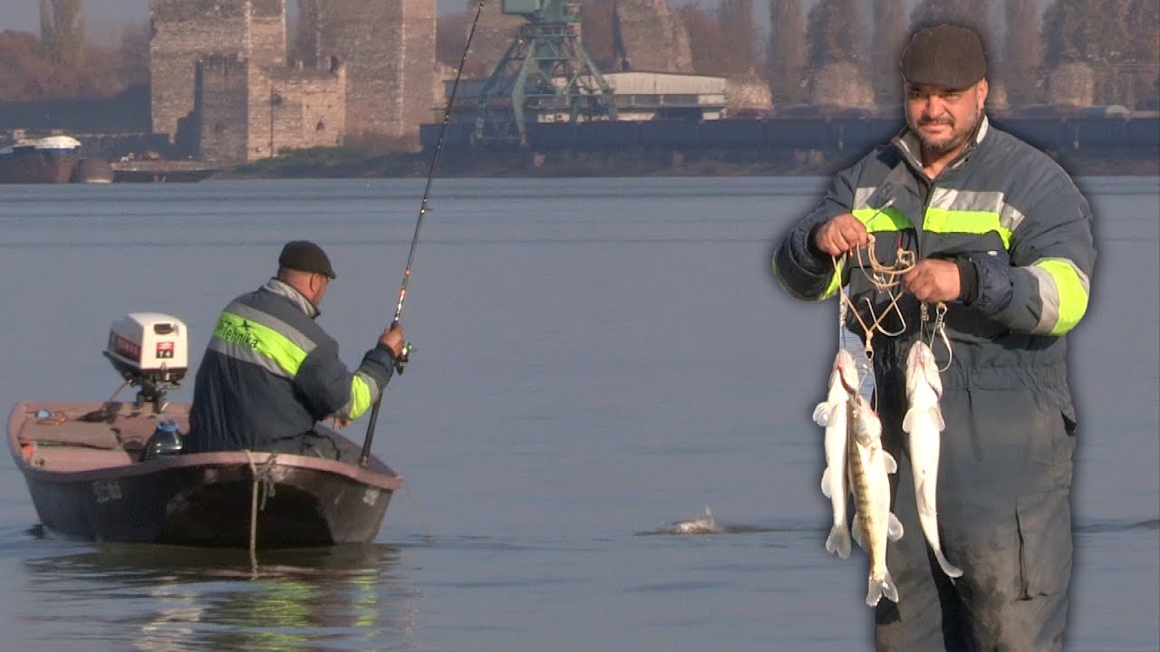 Pecanje smuđa na Dunavu kod Smedereva - Varaličarenje | Fishing zander