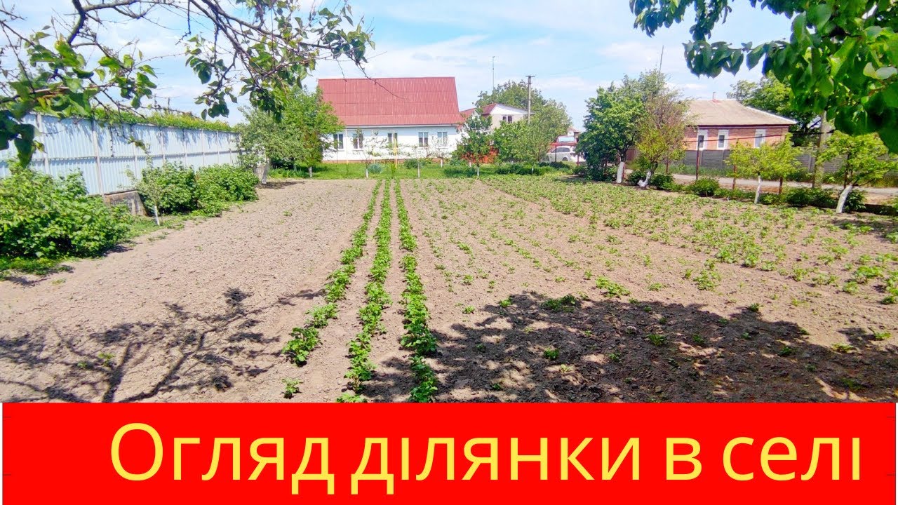 Огляд ділянки в центрі смт Димер  Продаж