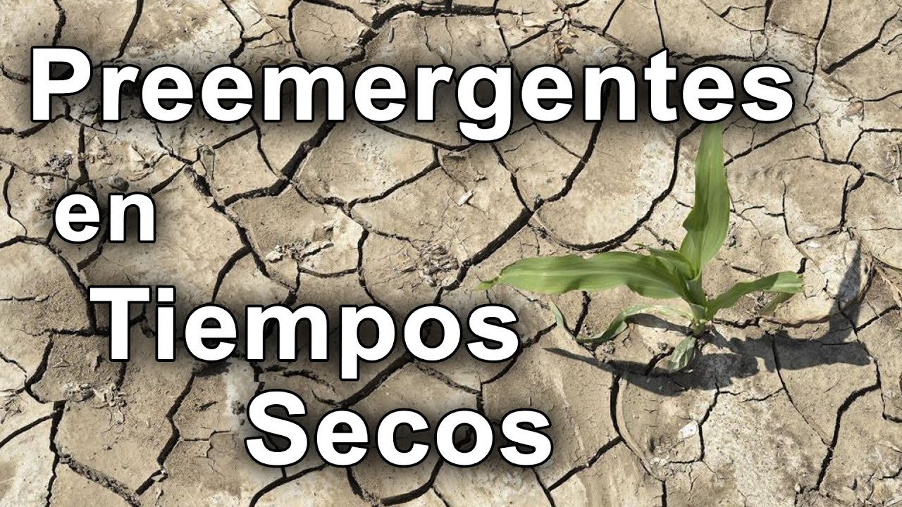 🎯 Cómo Usar Herbicidas Preemergentes en Tiempos Secos | Claves para un Barbecho Eficiente 🌱🚜