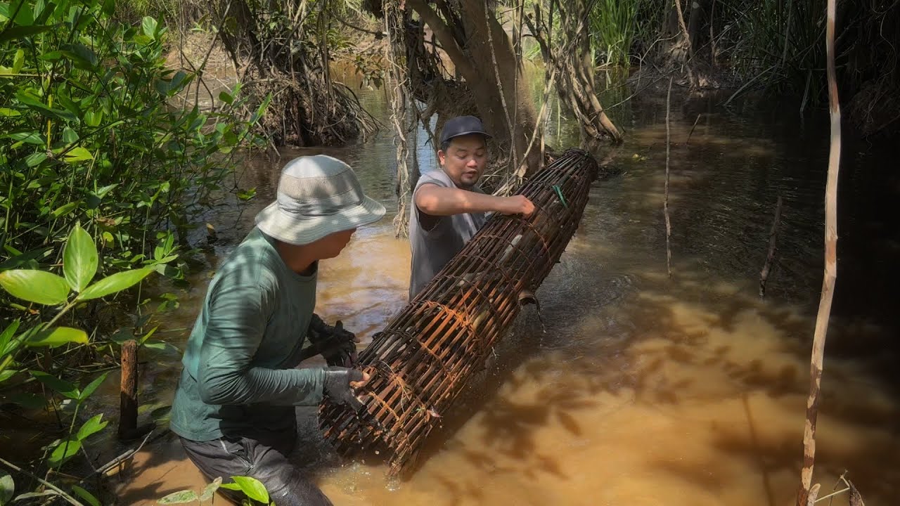 4 HARI 3 MALAM BERBURU PERANGKAP DI RAWA YANG SURUT DAN MASAK LANGSUNG HASIL TANGKAPAN DI HUTAN..