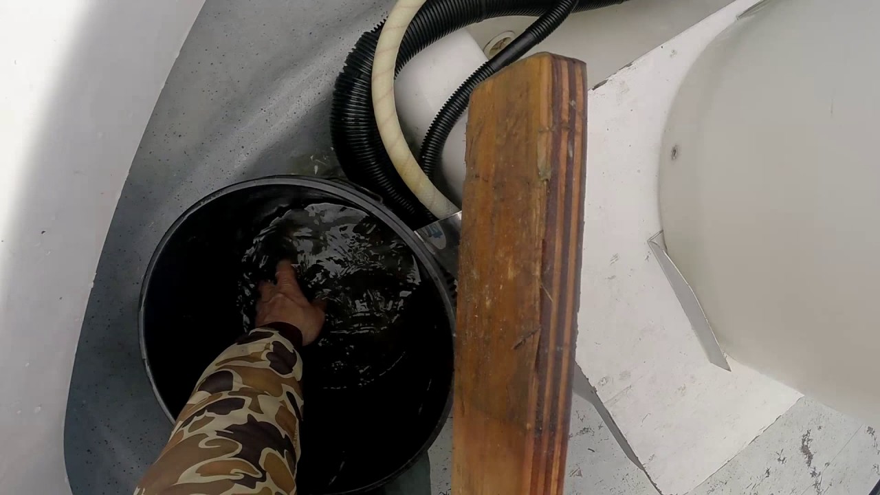 Great South Bay Spring Flounder