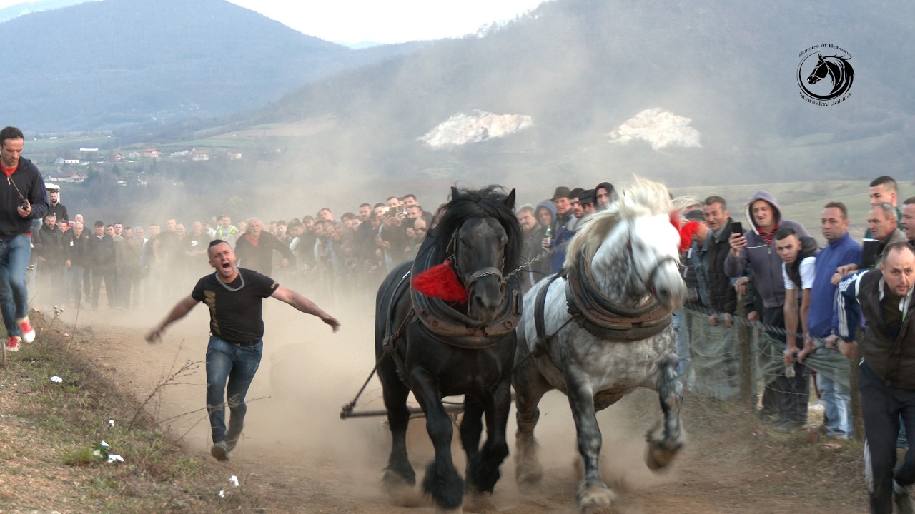 - ZIS SRUŠIO TEŠKAŠE U MELINI I PONOVO JE NA TRONU BALKANA -