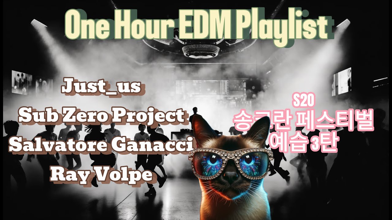 [EDM Playlist] S2O 송크란 페스티벌 예습 3탄 - Just_us, Sub Zero Project, Salvatore Ganacci, Ray Volpe Live