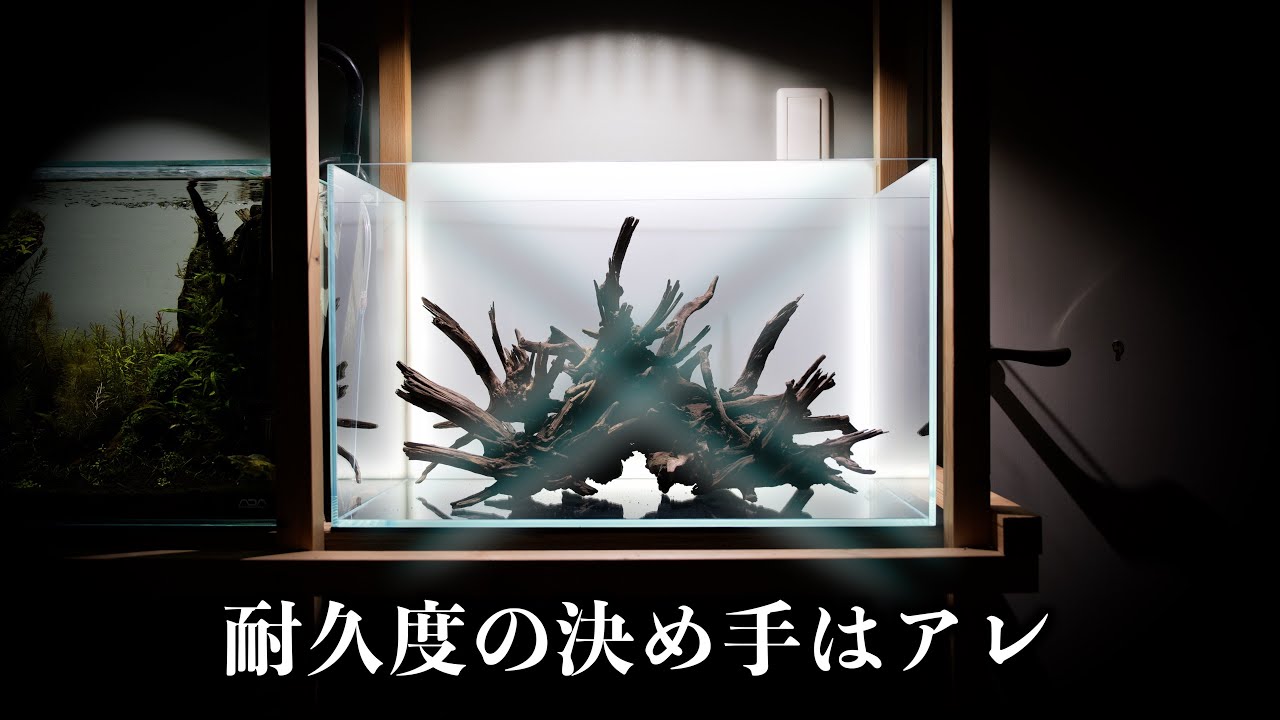 【決め手はX】シリコン耐久度が40％も高い特殊水槽を買いました。アクロ60Xスーパークリア