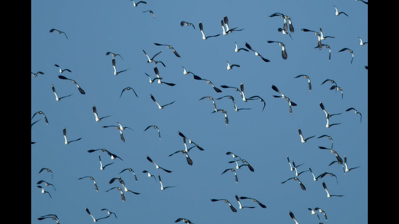 BOLLER MOOR FEBRUAR 2026