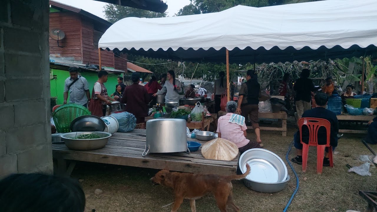 งานแต่งลูกชายกางจัดหยิ่งใหญ่อะลังกานแขกคนมาเต็มบ้านล้มงัวไปสองตัวลาบขมๆแชบๆ