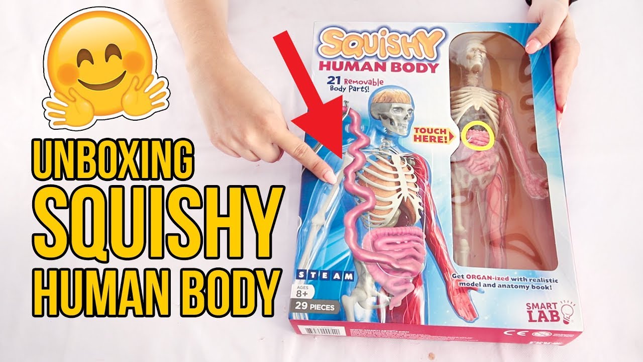 UNBOXING Squishy Human Body