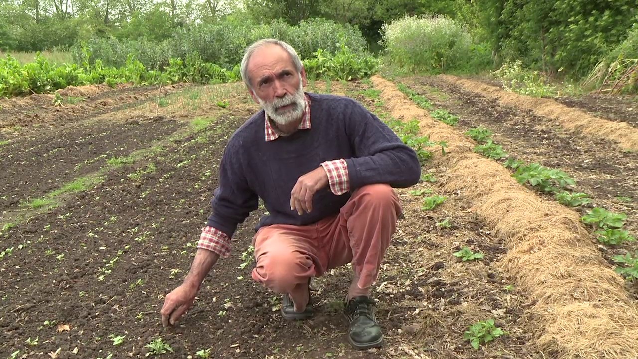 Pierre Besse : le maraîchage sous mulch