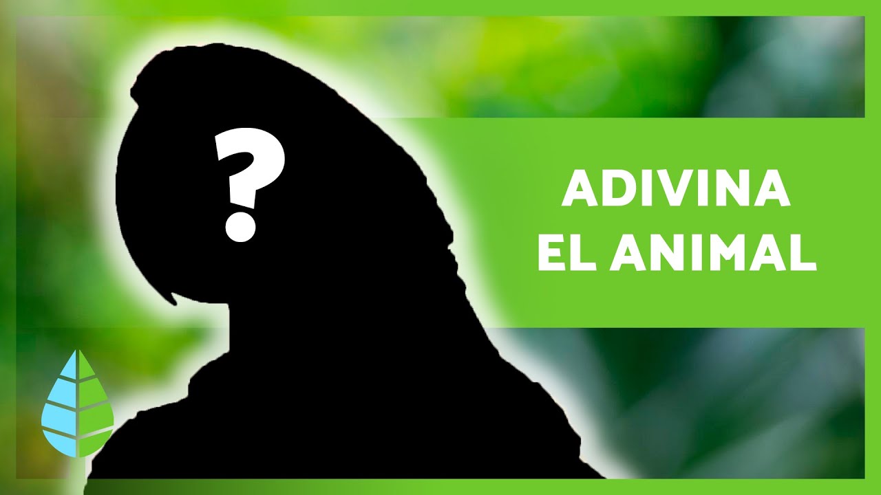 ADIVINA el ANIMAL por el SONIDO 🐸 🔊 &iquest;Cu&aacute;ntos acertar&aacute;s? ✅ Test/Quiz