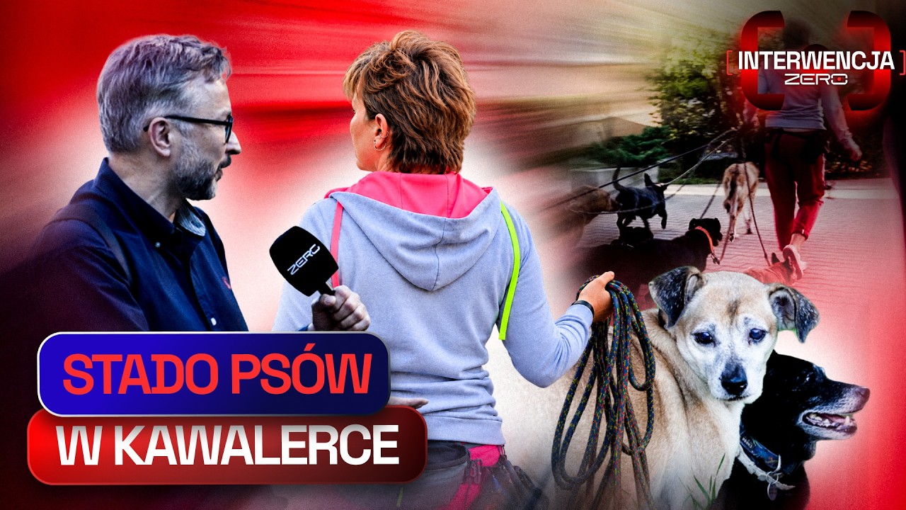 25 PS&Oacute;W, KAWALERKA I BEZRADNI SĄSIEDZI | INTERWENCJA ZERO