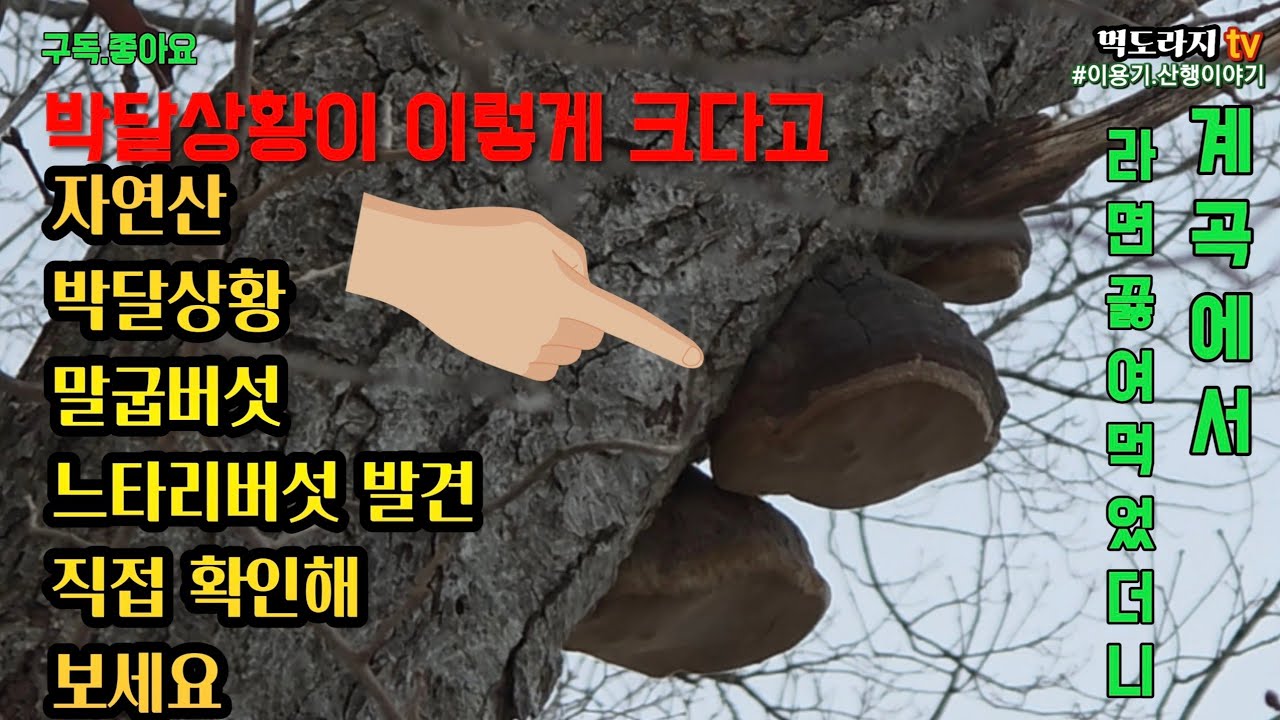이렇게 큰 상황은 처음!!계곡에서 라면 끓여 먹었더니...?