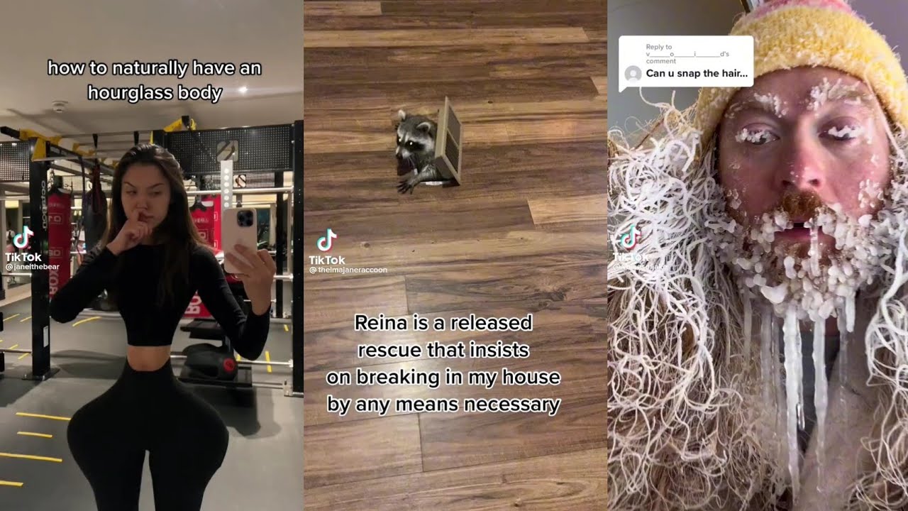 Tiktoks that got into a fight at waffle house