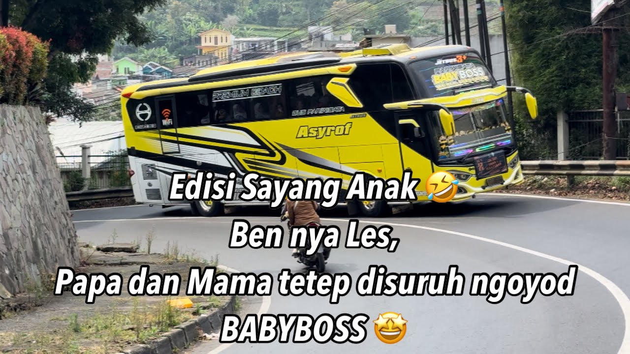 Ngoyod MSM Asyrof BABYBOSS‼️ Cikole - Floating Market Lembang Bandung