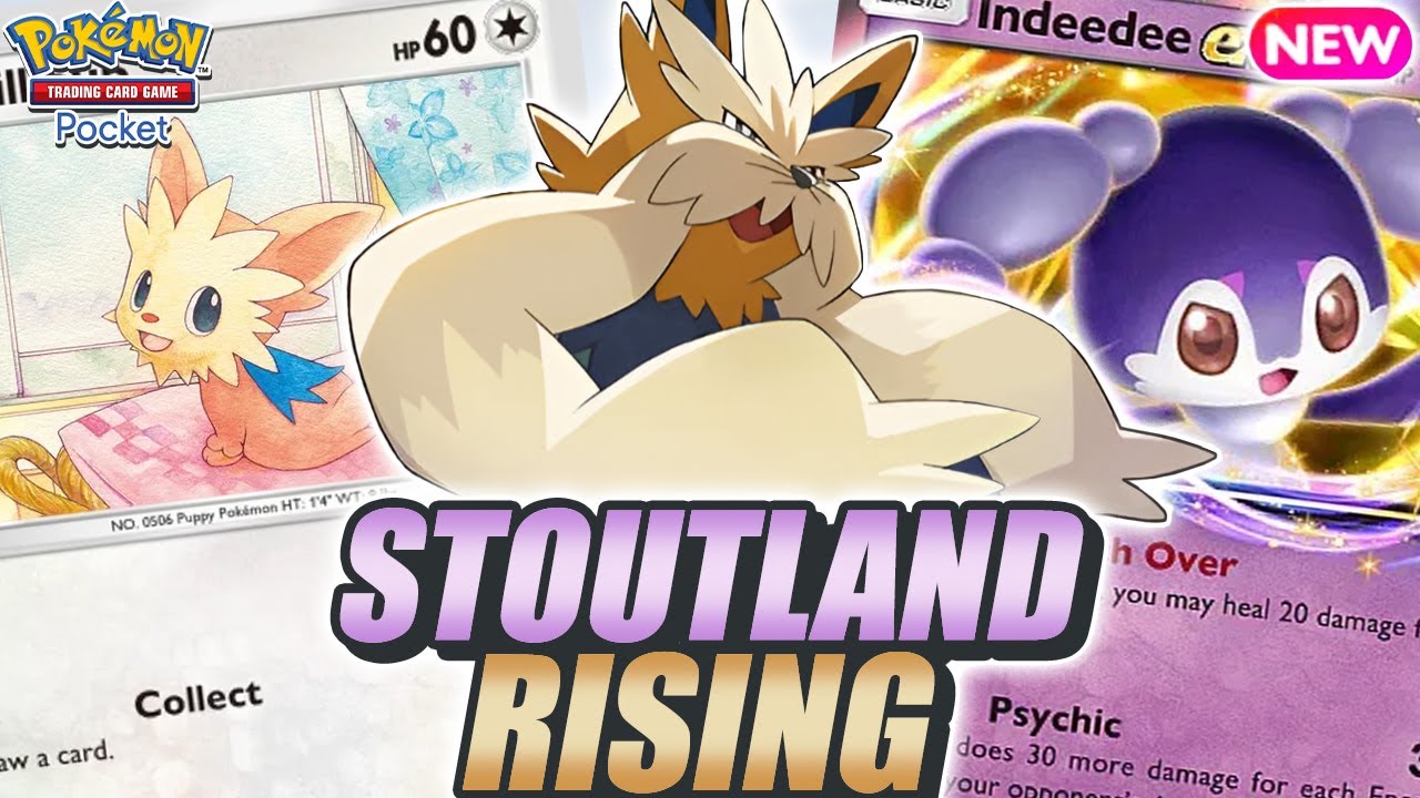 OUR BOI RETURNS ! STOUTLAND Deck Gets a Massive Buff with INDEEDEE ! - Pokemon TCG Pocket