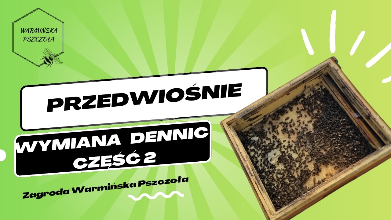 Przedwiośnie - Wymiana dennic   część 2