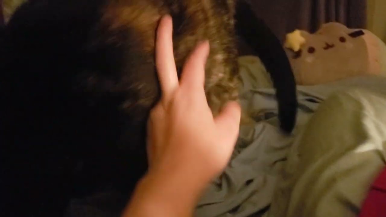 Luna licks me and almost falls off the bed