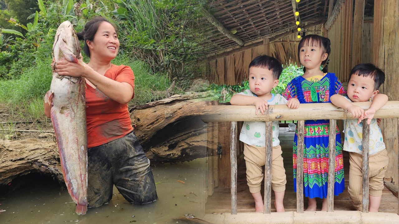 A Gift from the River: A Single Mother Prepares Delicious Dishes from a Giant Fish | Ly tieu tieu