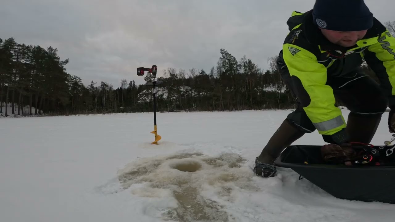 Pimpelfiske efter röding i sandasjön, älta