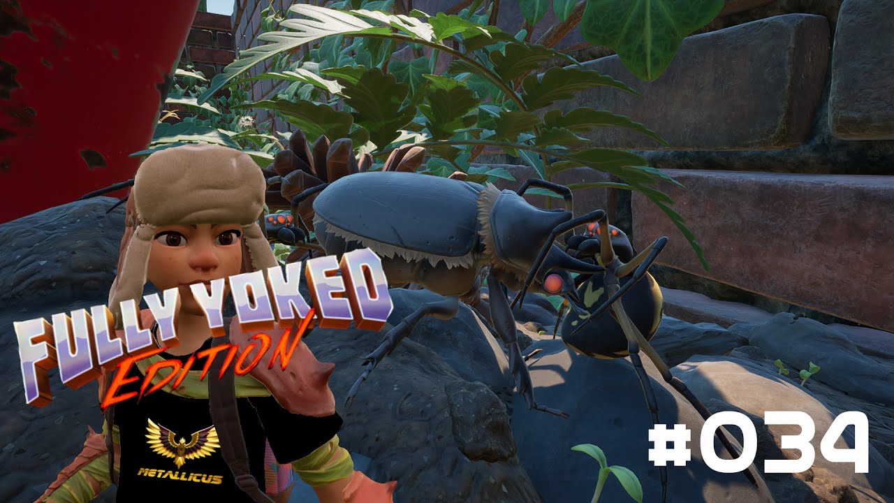 Grounded Fully Yoked 