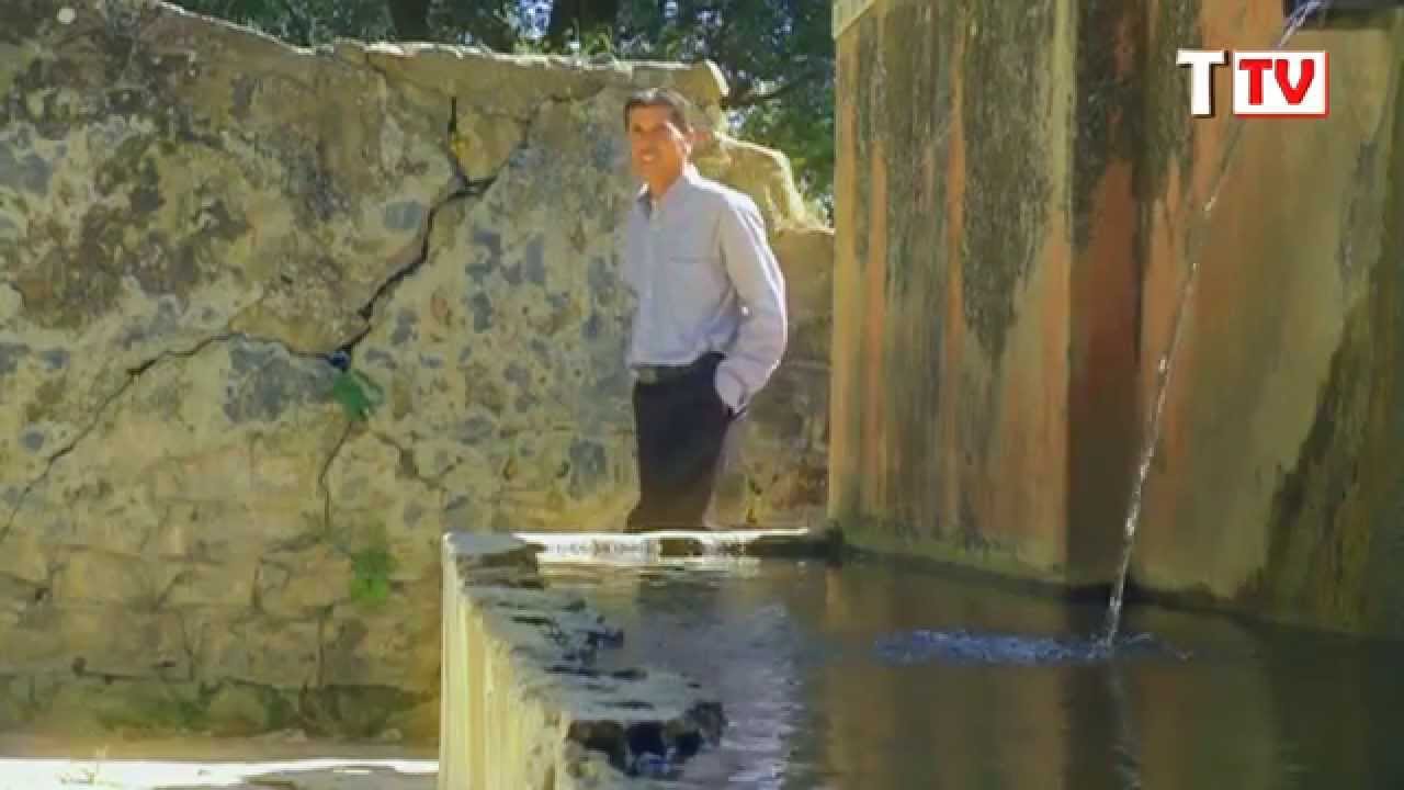 ALAWA (Agma tef di Rebbi)