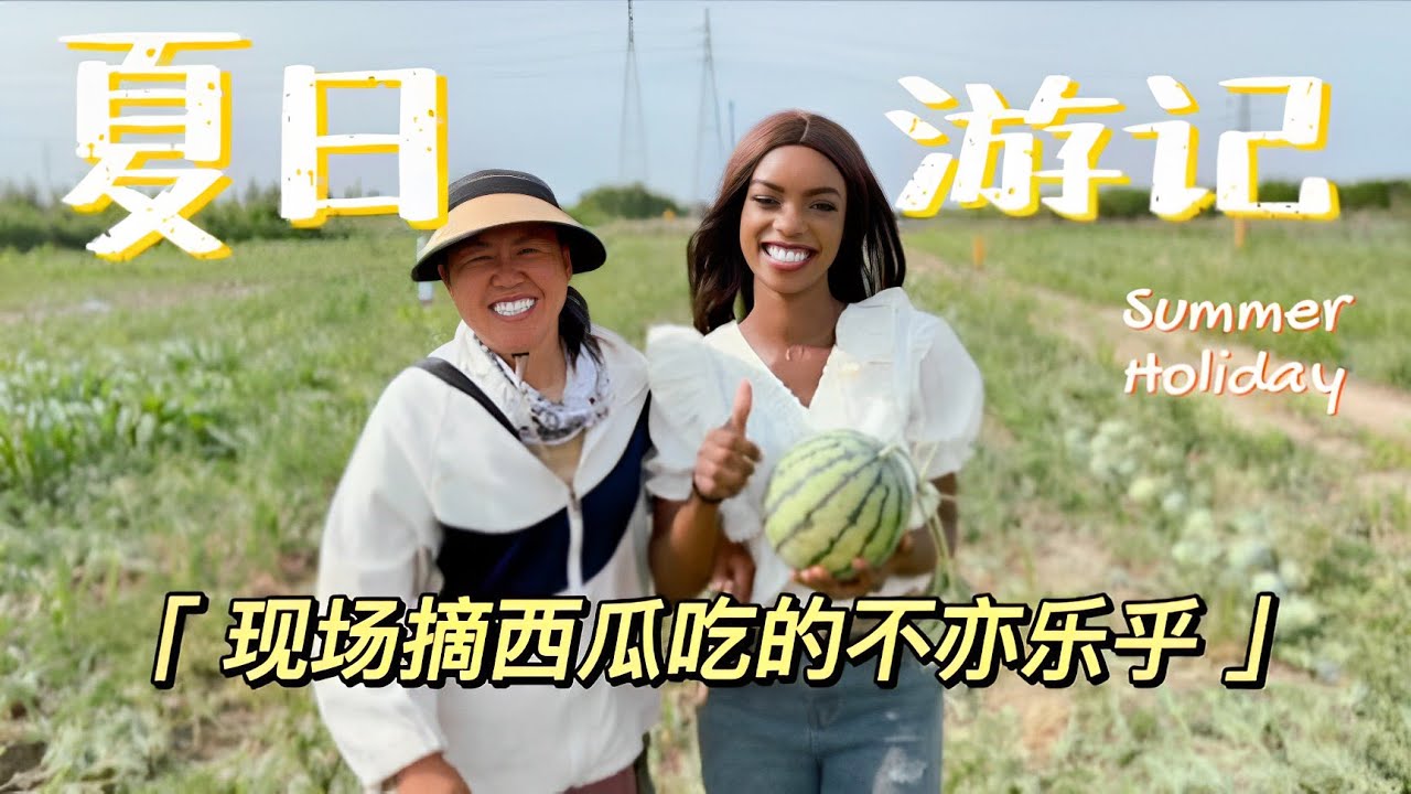 体验过夏天摘西瓜吗？这西瓜太甜了！【大雪在非洲】