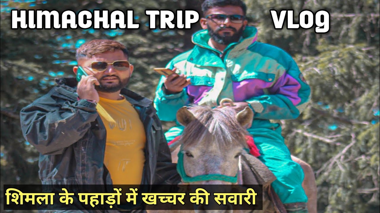 शिमला के पहाड़ों में खच्चर की सवारी l Shimla Tour With Places l Himachal Full Tour 2022
