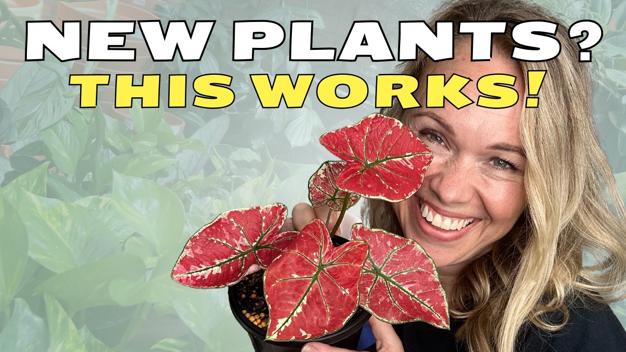 The Secrets to Keeping New Plants Alive (My Proven Routine!)