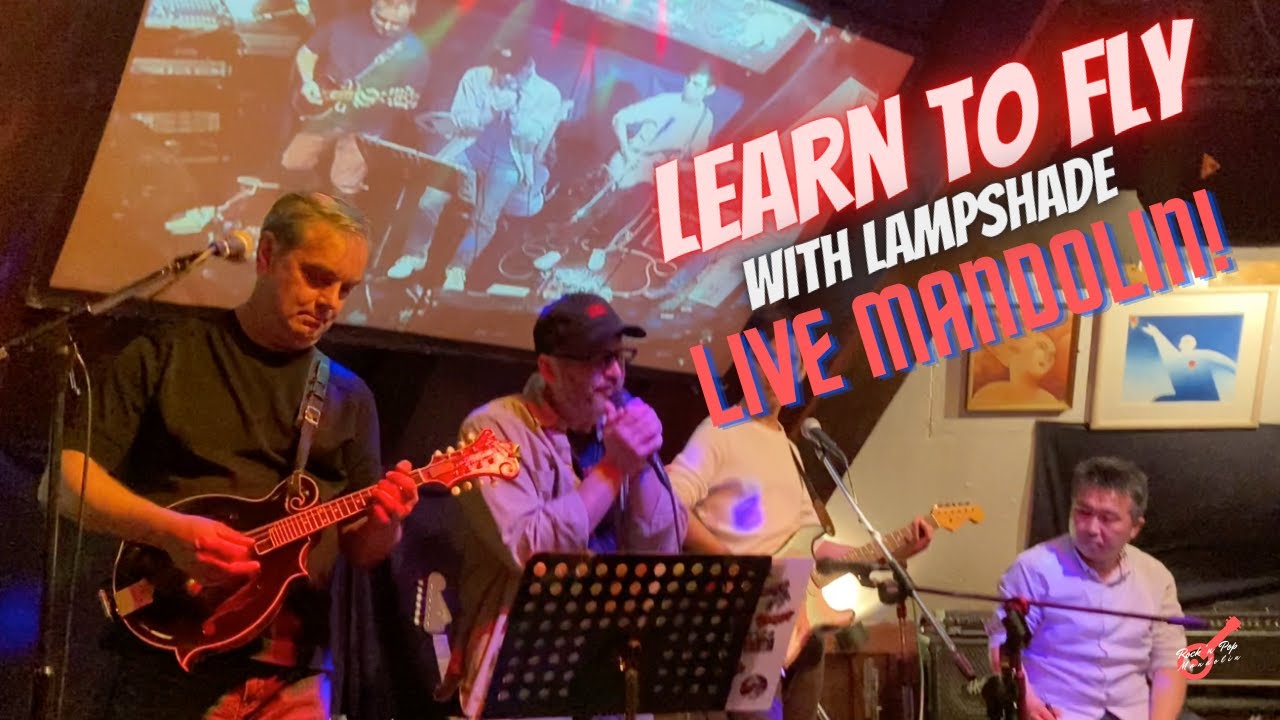 Learn to Fly (Foo Fighters) &ndash; Live Mandolin with Lampshade #rockpopmandolin