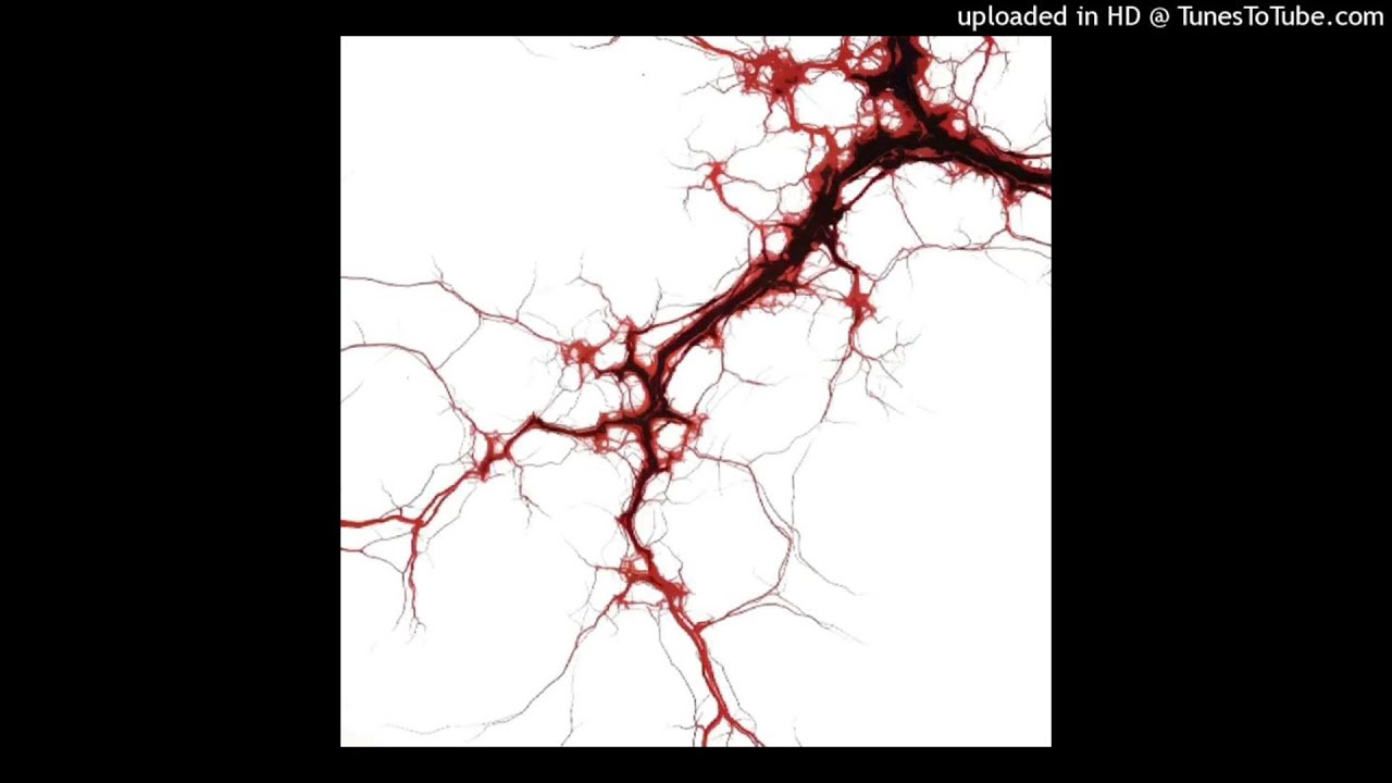 [free for profit] ambient + experimental type beat 