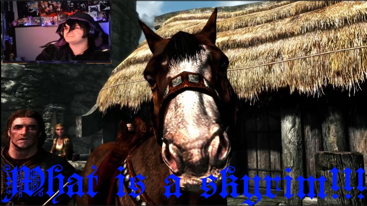Skyrim pt1!!! RAW! from my non-stop November!!