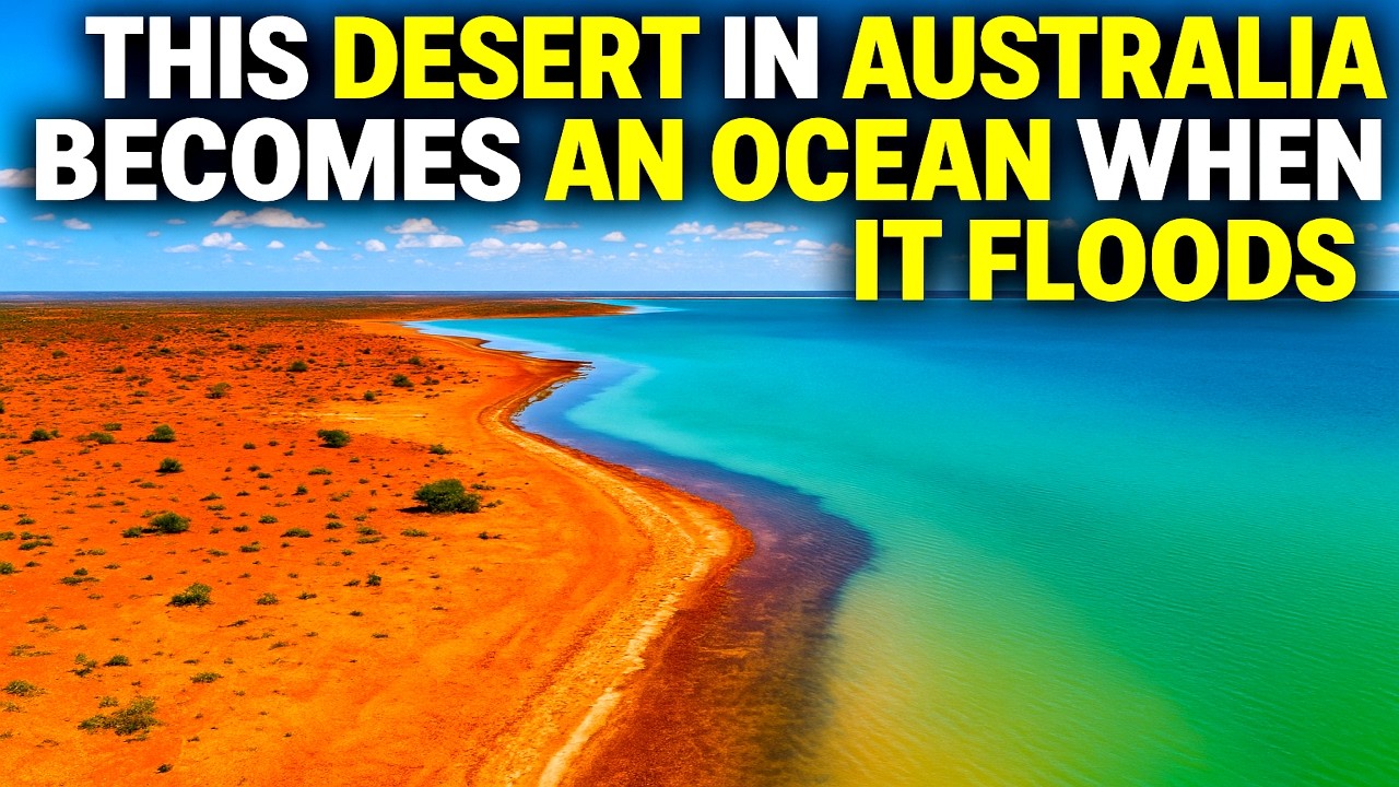 Australia’s Hidden Ocean: Lake Eyre in Flood