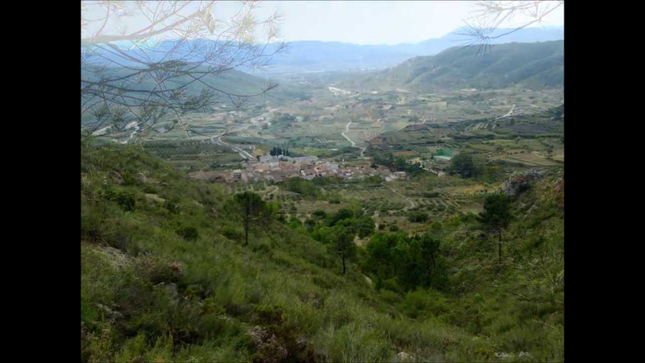 Sóc Mediterrani  (Pinet - València-)