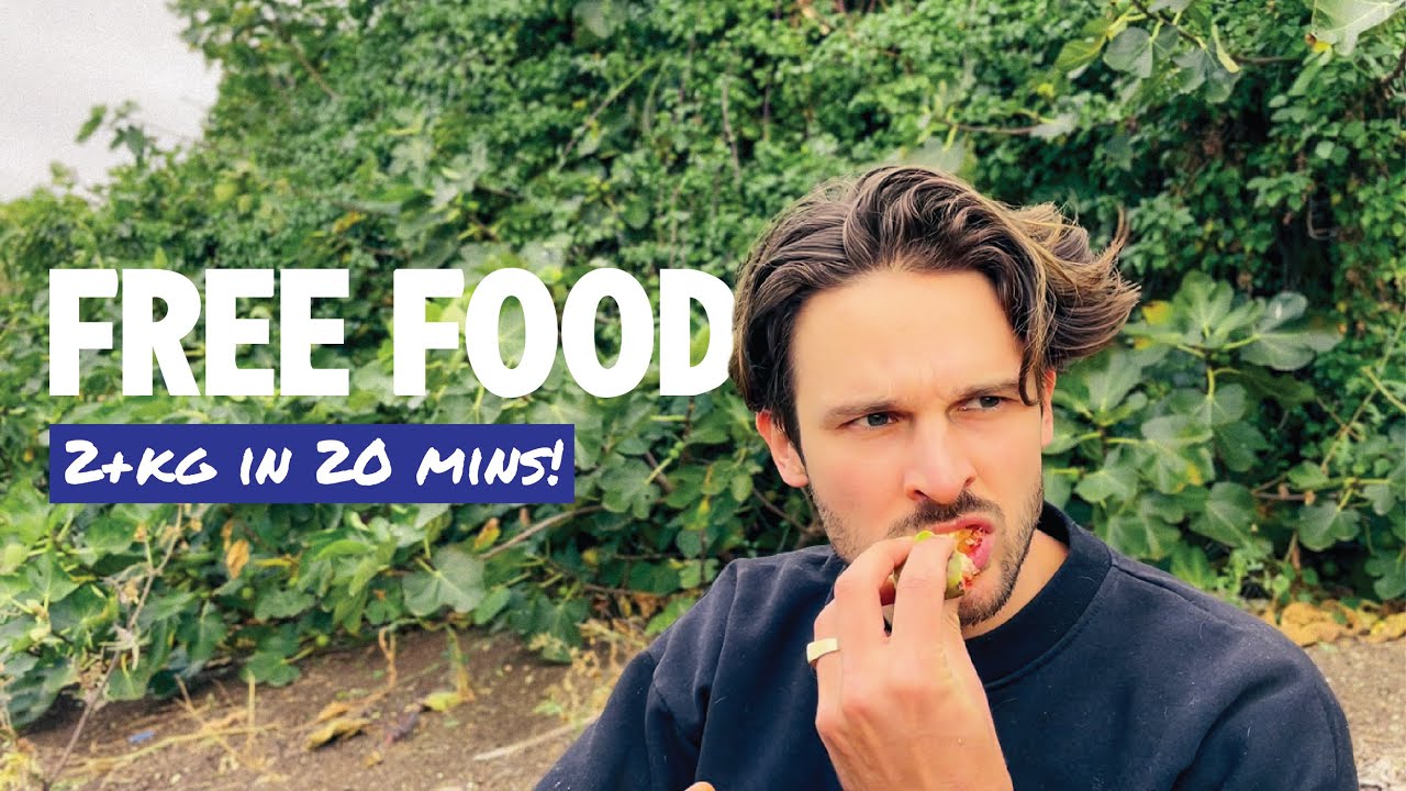 Urban Foraging: The Antidote to This Cost of Living Crisis?