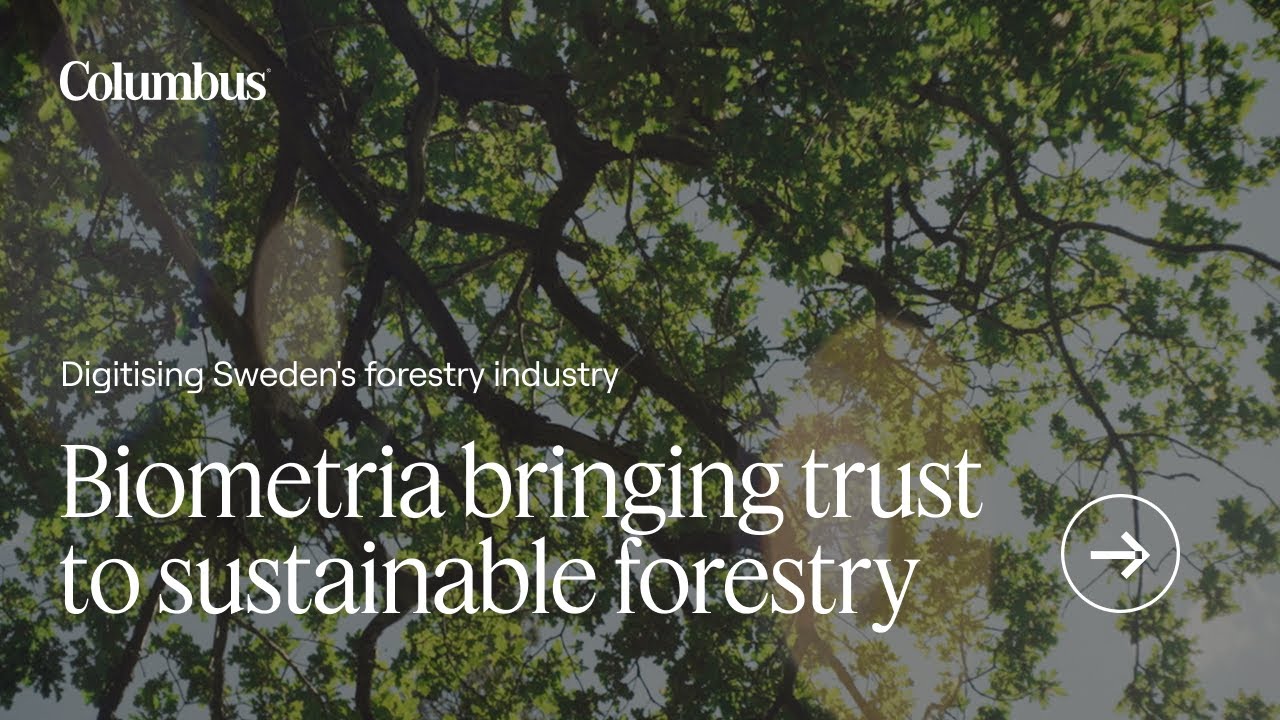 Biometria drives sustainable forestry in the Nordics with Microsoft Dynamics 365