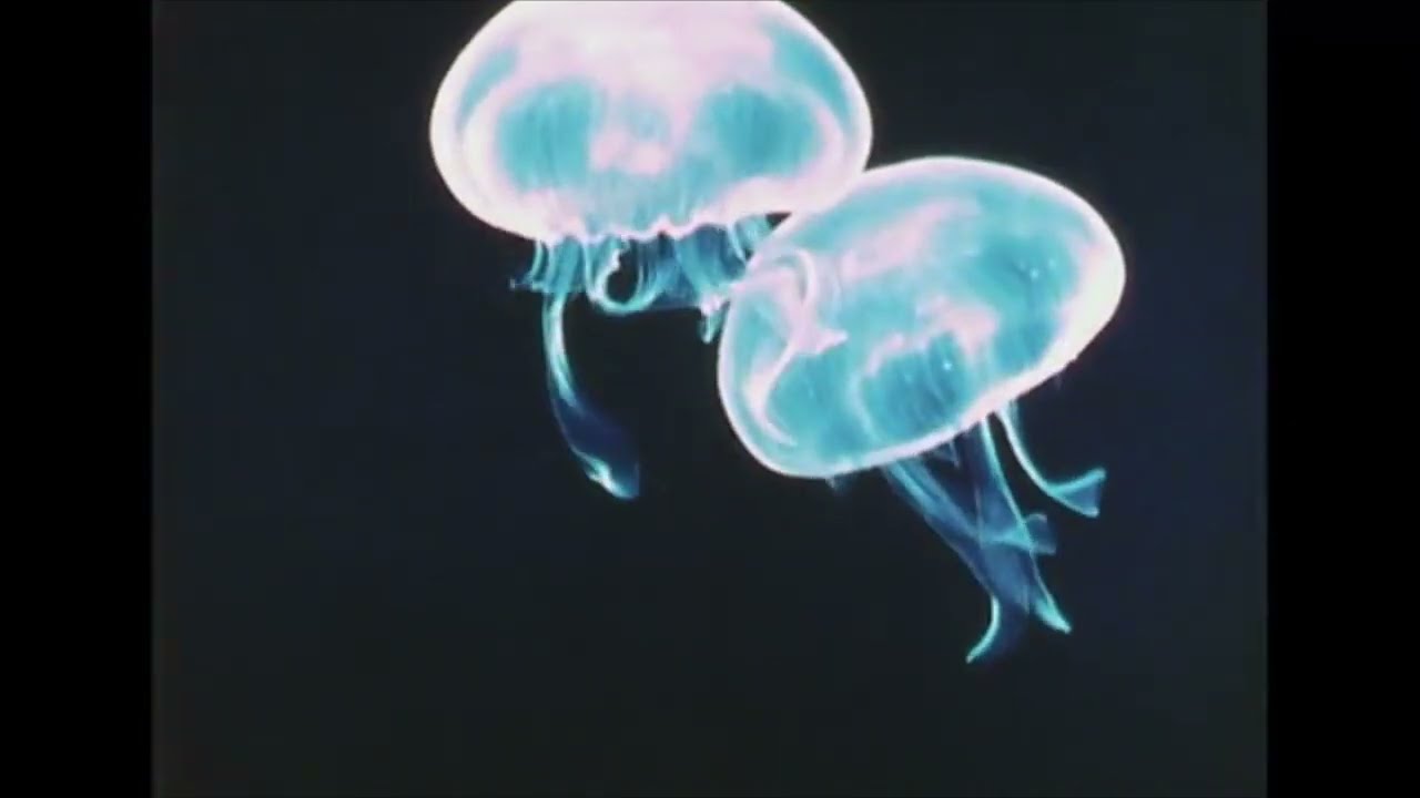 'Below' - Ambient Dub