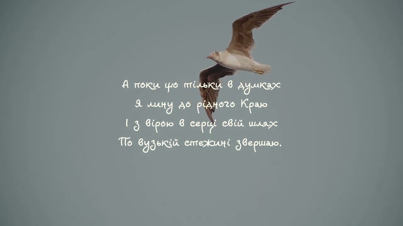 Дивлюсь я в небесну блакить - New Revival