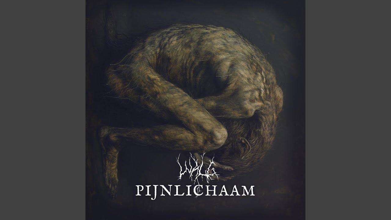 Pijnlichaam